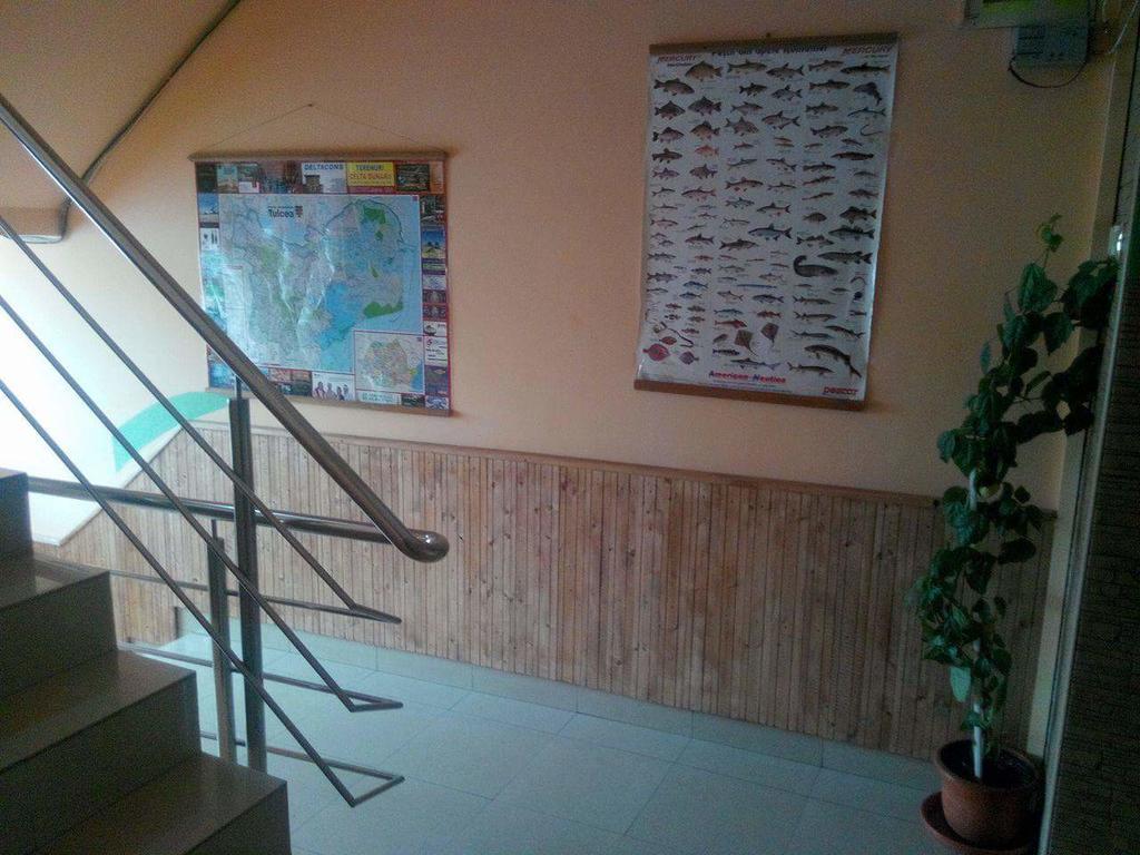 Pensiunea Nicol Tulcea Exterior foto