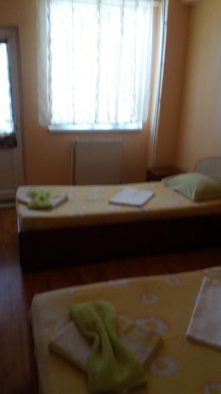 Pensiunea Nicol Tulcea Exterior foto