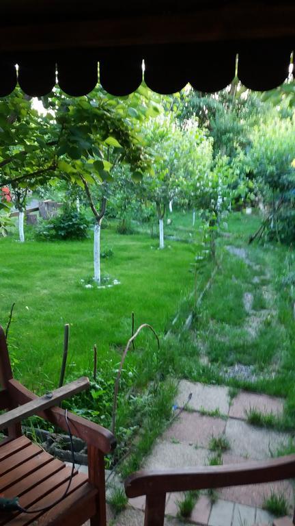 Pensiunea Nicol Tulcea Exterior foto
