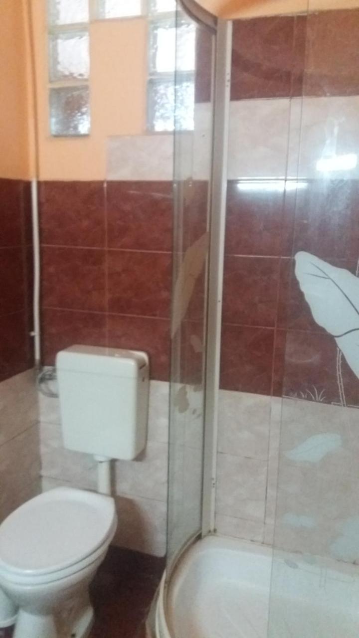 Pensiunea Nicol Tulcea Exterior foto